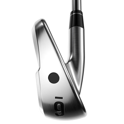 Apex Ti Fusion 250 Chrome Plated Irons - Steel